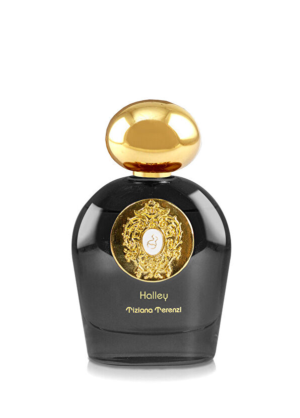 Tiziana Terenzi Comet Halley 